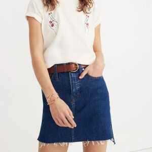 Madewell Denim Straight Raw Hem Mini Skirt